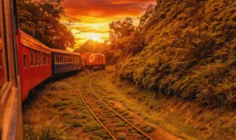 Pacote Trem Pôr do Sol